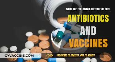 Antibiotics and Vaccines: Shared Traits, Uses, and Misconceptions Explained