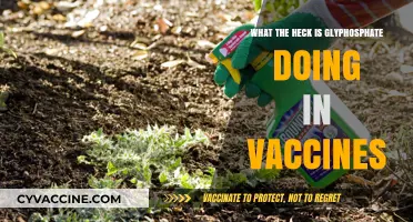 Glyphosate in Vaccines: Unraveling the Controversial Chemical's Presence