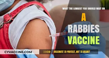 How Long Can You Safely Wait for a Rabies Vaccine?