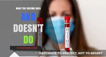 Understanding Vaccines: Debunking Myths and Clarifying Their Role in Health