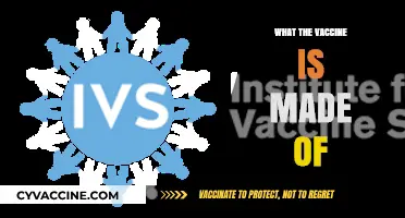 Unveiling the Science: What Ingredients Are in Vaccines?