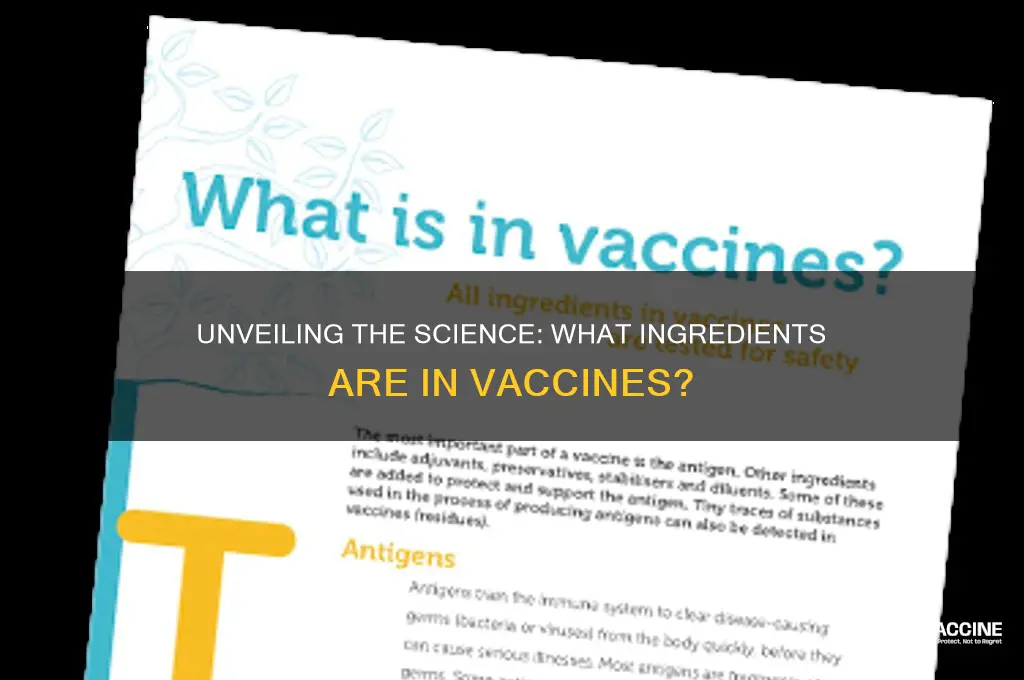 what the vaccine is made of