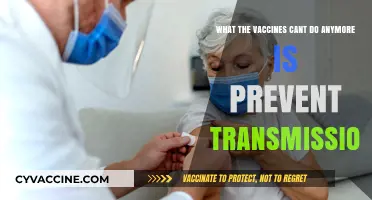 Vaccines' Shifting Role: Beyond Transmission Prevention in Today’s Pandemic
