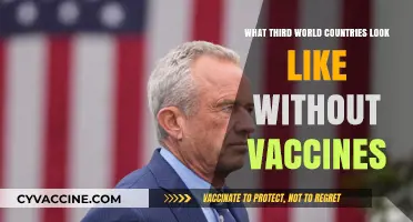 Life Without Vaccines: A Glimpse into Third World Realities