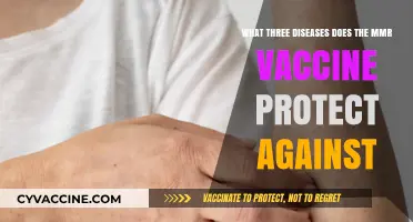 MMR Vaccine: Shielding Against Measles, Mumps, and Rubella