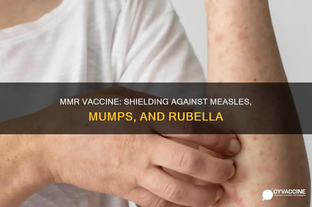 what three diseases does the mmr vaccine protect against