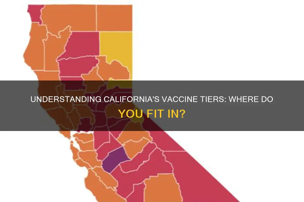 what tier am i in for vaccine california