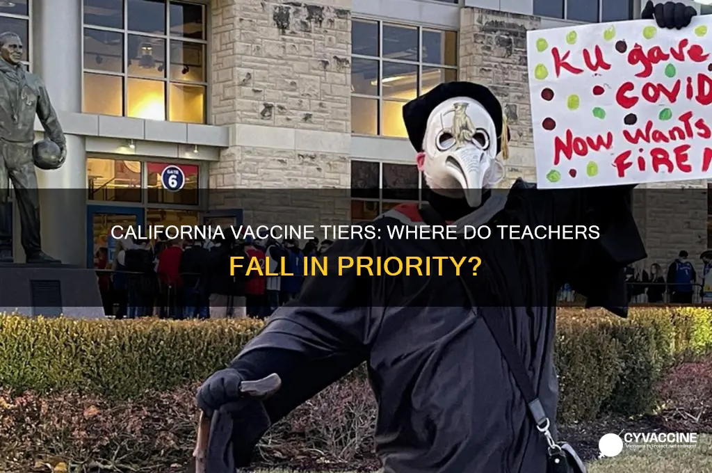 what tier are teachers in for vaccine california