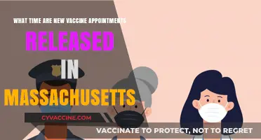 When Are New Vaccine Appointments Released in Massachusetts?