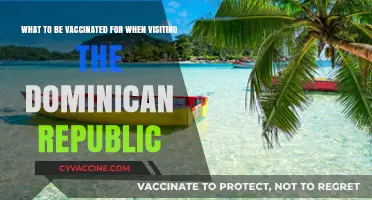 Essential Vaccinations for Safe Travel to the Dominican Republic