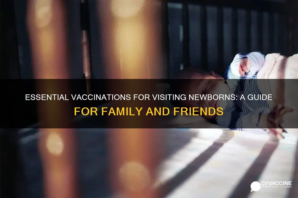 what to be vaccinated to see a newborn
