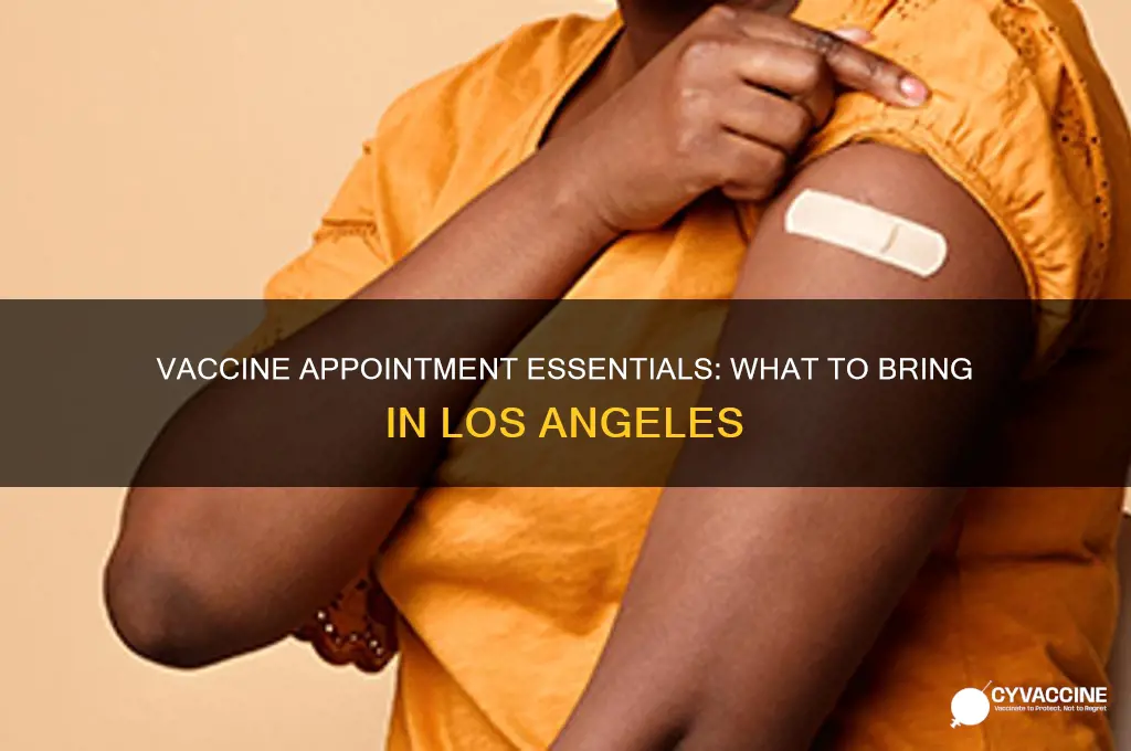 what to bring to vaccine appointment los angeles