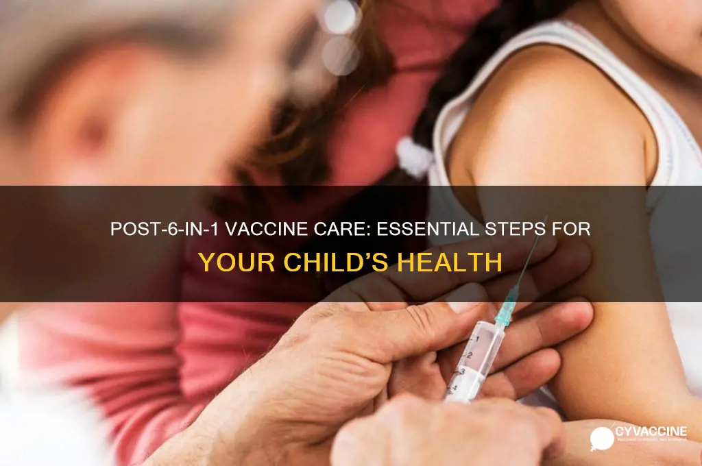 what to do after 6 in 1 vaccine