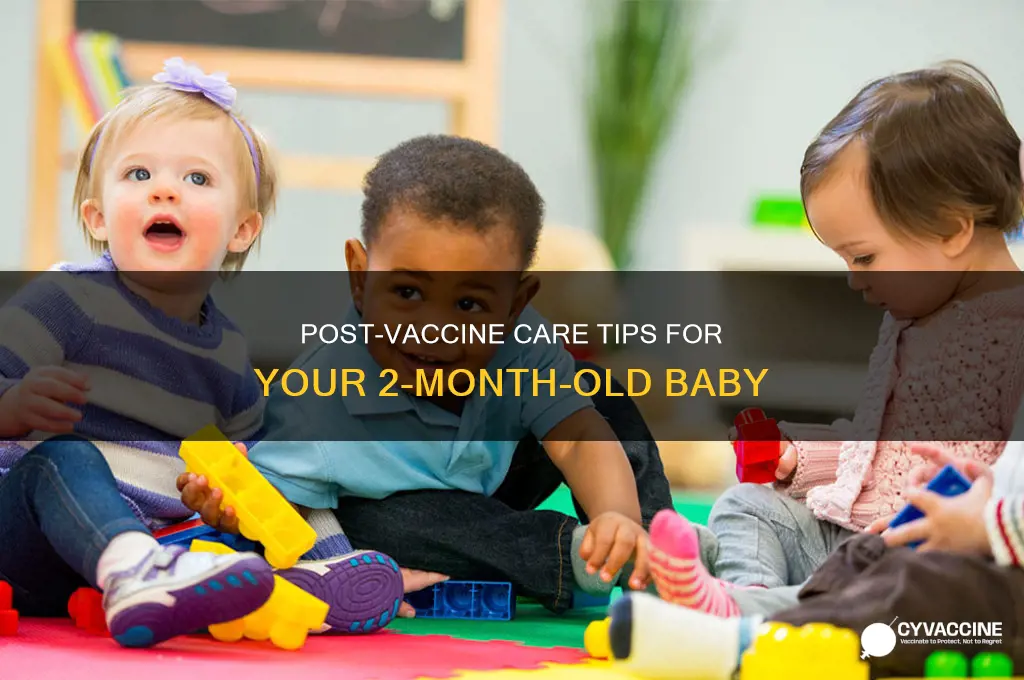 what to do for 2 month old after vaccines