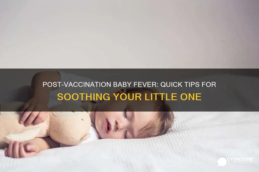 what to do for baby fever after vaccination