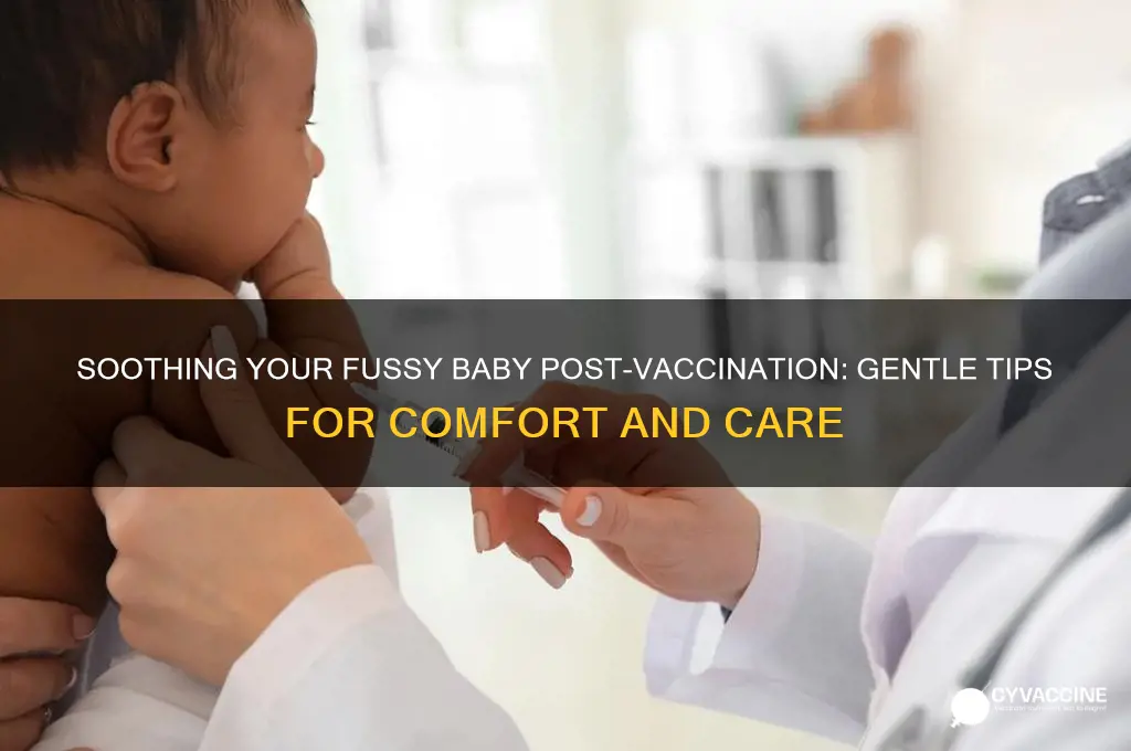 what to do for fussy baby after vaccinations