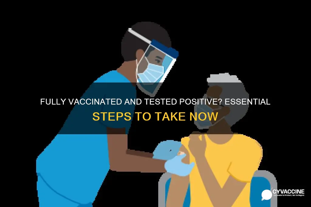 what to do if fully vaccinated and test positive