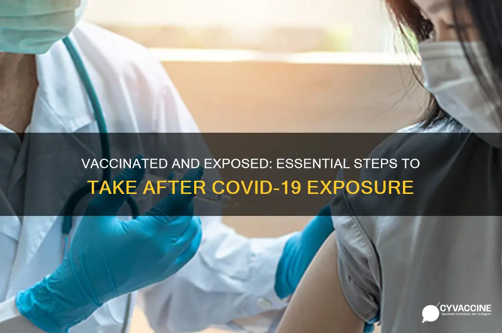 what to do if i am vaccinated and exposed