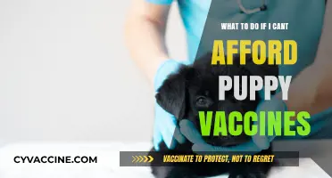 Affordable Puppy Care: Vaccine Alternatives When Budget is Tight