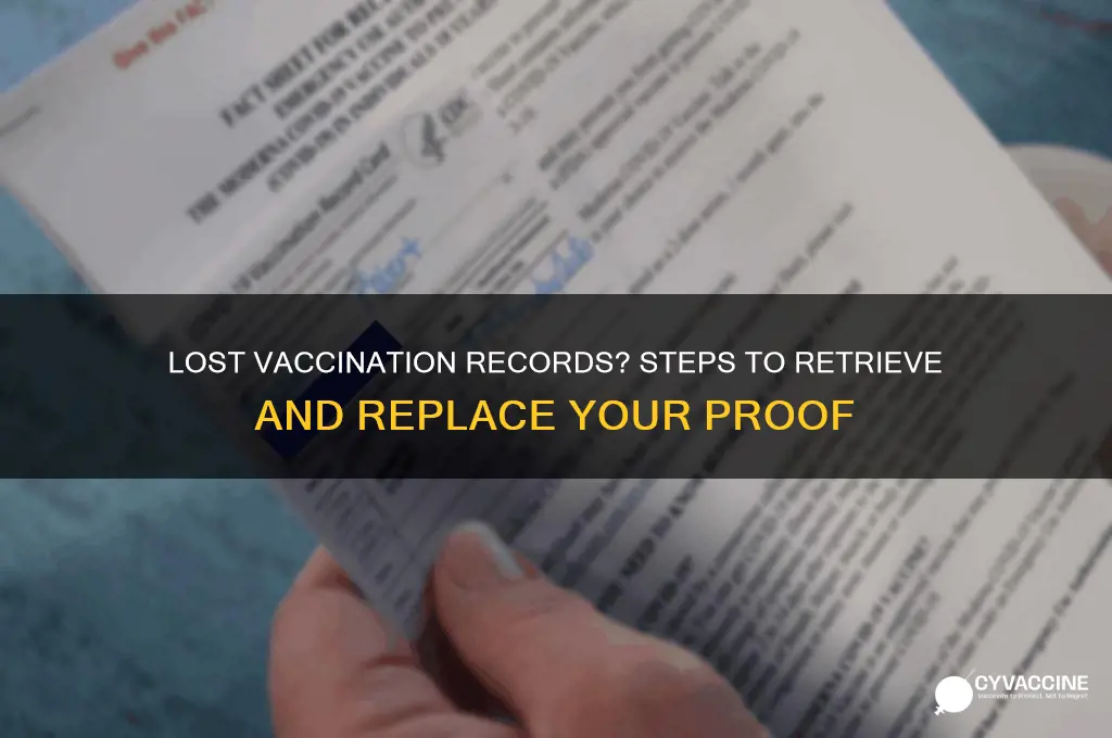 what to do if i lost my vaccination records