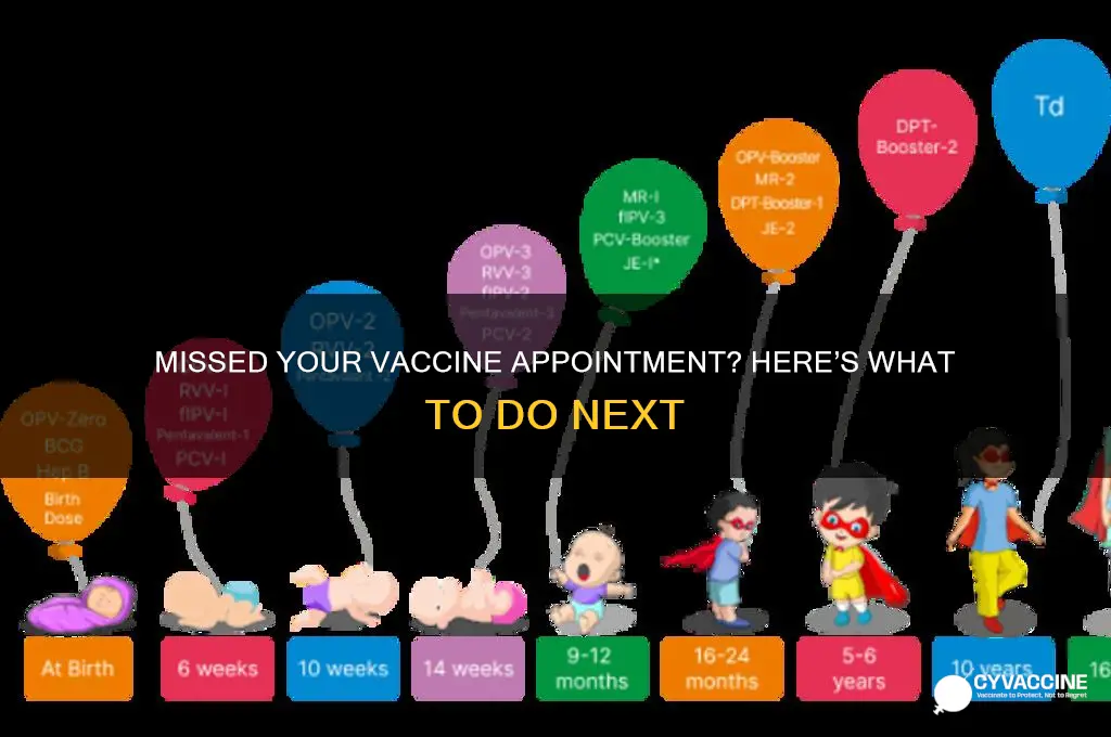 what to do if i miss my vaccine appointment