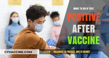 Vaccinated and Positive: Next Steps After a Breakthrough Infection