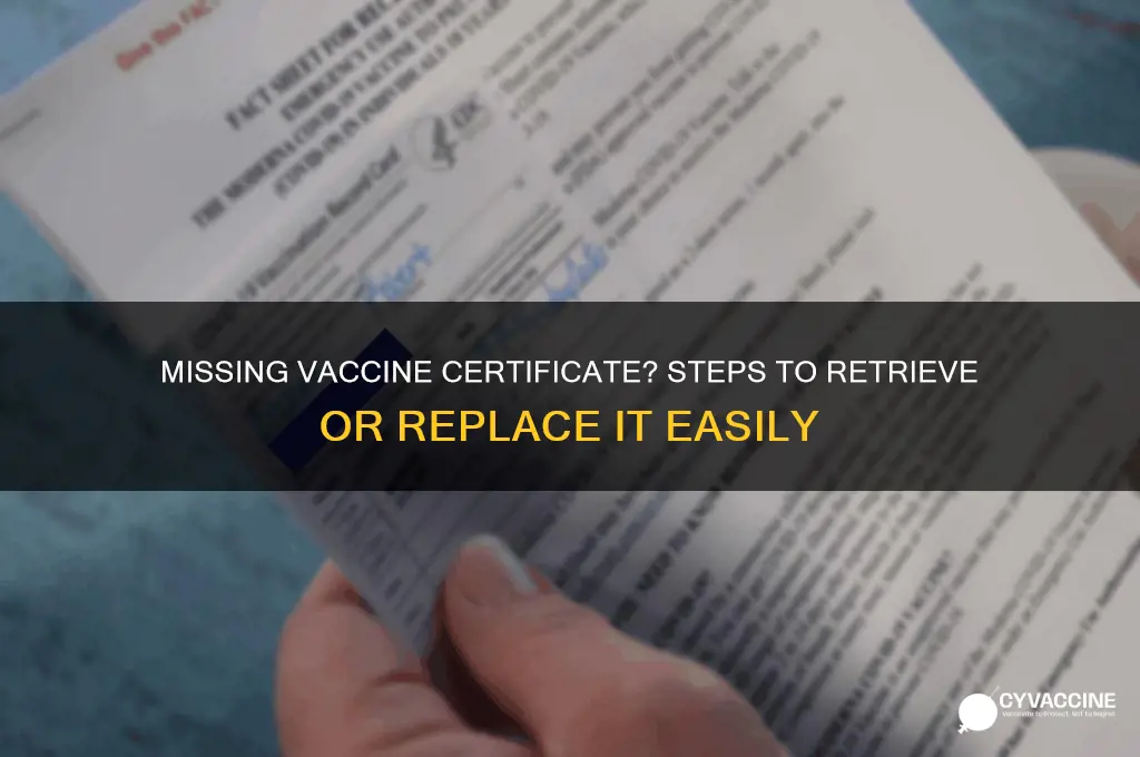 what to do if vaccine certificate is not available