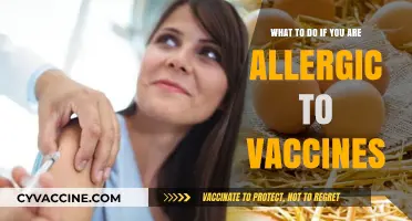 Vaccine Allergies: Safe Steps and Alternatives for Protection