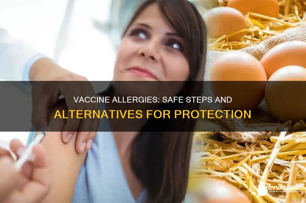 what to do if you are allergic to vaccines