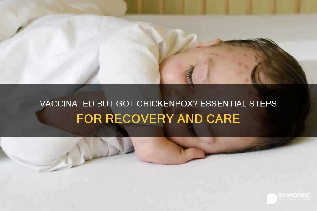 what to do if you have chickenpox and are vaccinated