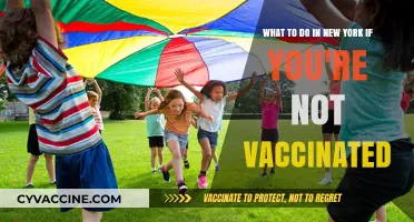 Unvaccinated in NYC: Exploring Safe and Fun Activities in the City