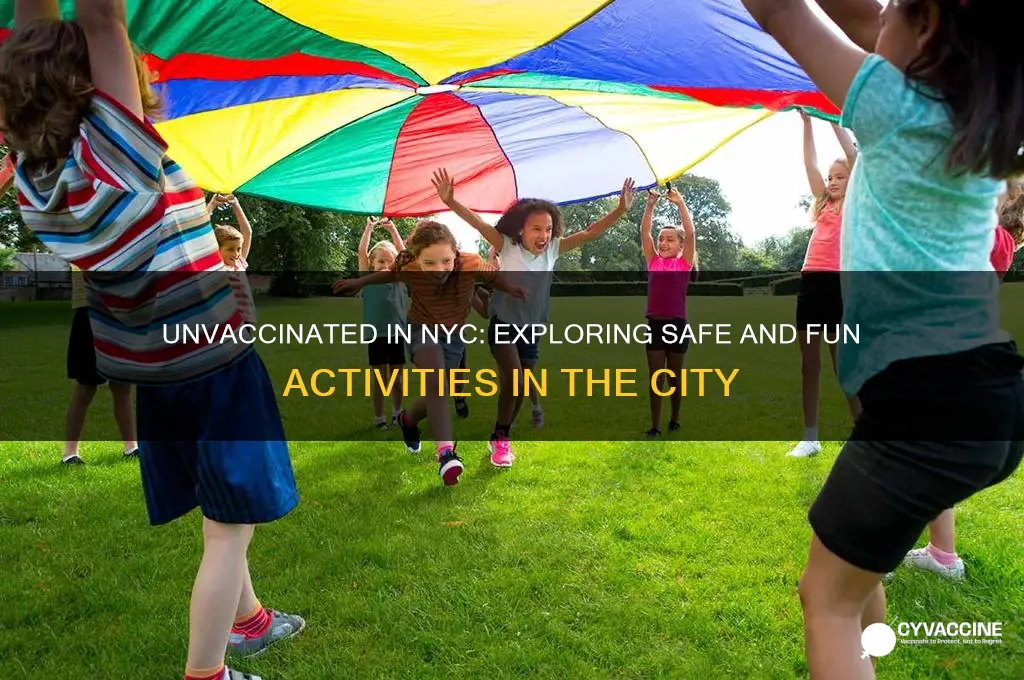 what to do in new york if you