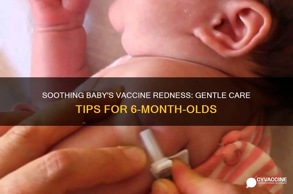 what to do on redness on baby 6 months vaccines