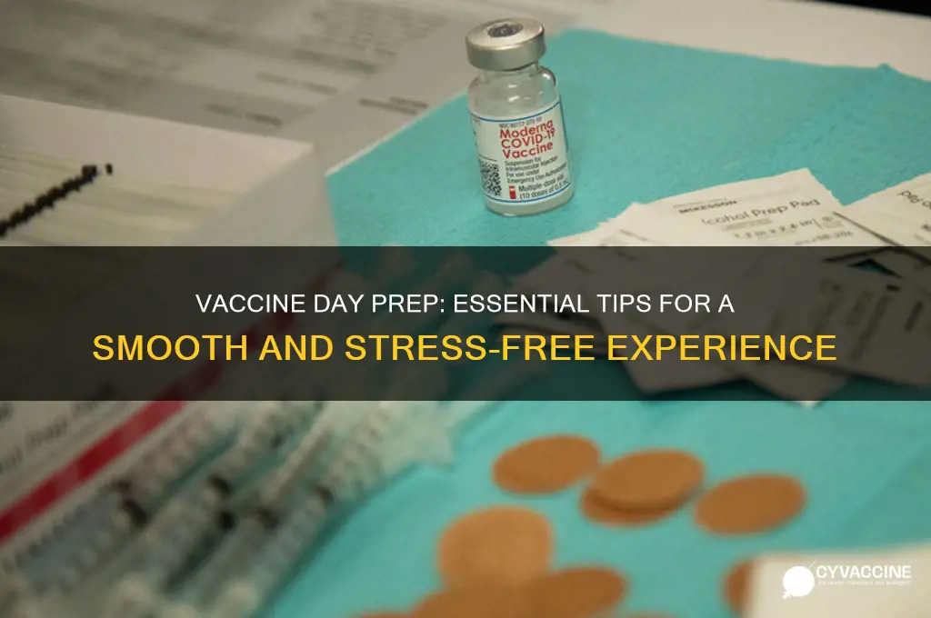 what to do the day of your vaccine