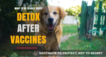 Supporting Your Puppy’s Detox After Vaccines: Gentle Steps to Help