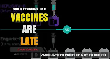 Delayed Hepatitis B Vaccines: Steps to Take and What to Expect