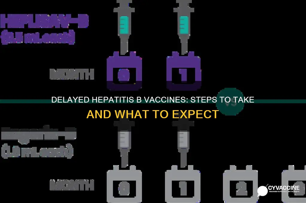 what to do when hepatitis b vaccines are late