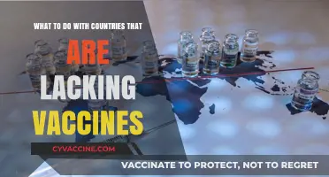 Global Vaccine Equity: Strategies to Support Countries Lacking Access