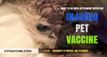 Handling Pet Vaccine Injury Settlements: Steps to Protect Your Rights
