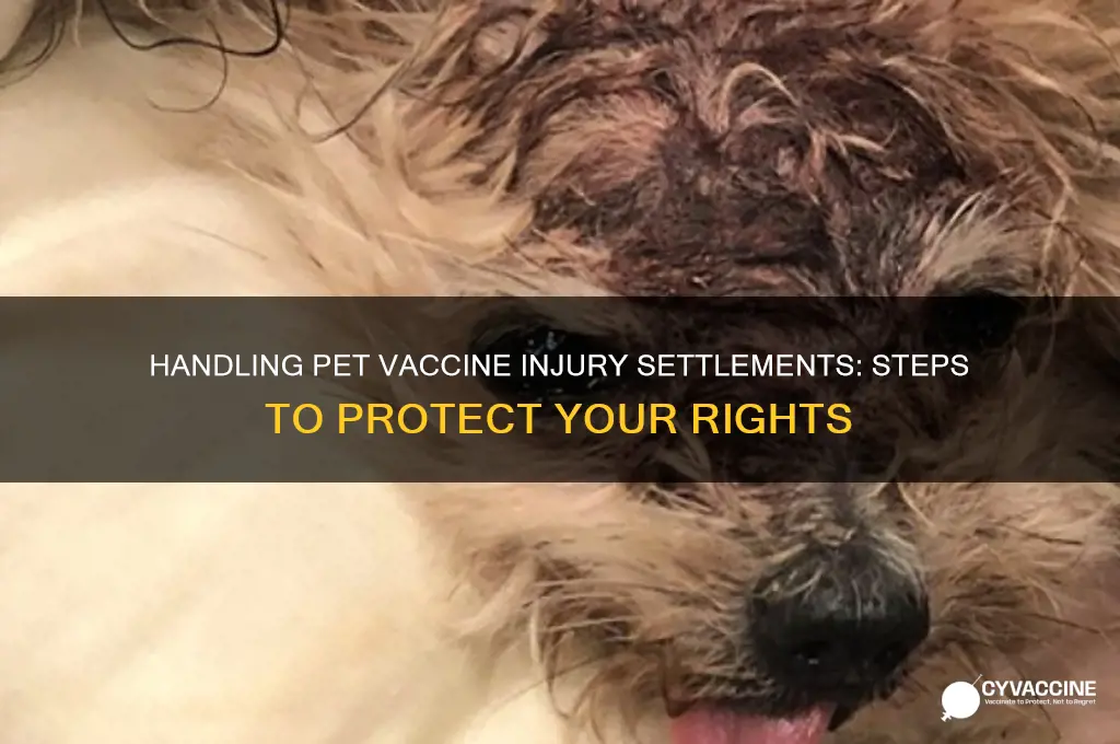 what to do with settlement offer for injured pet vaccine