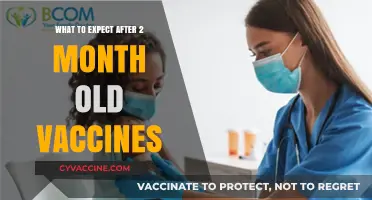 Post-Vaccine Care: What to Expect After Your 2-Month-Old's Shots