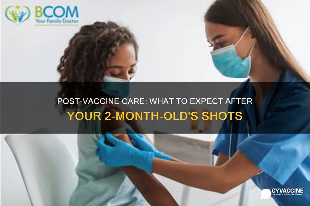 what to expect after 2 month old vaccines