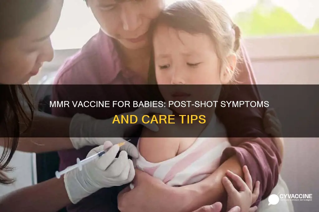 what to expect after mmr vaccine in babies