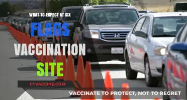 Six Flags Vaccination Site: What to Expect During Your Visit