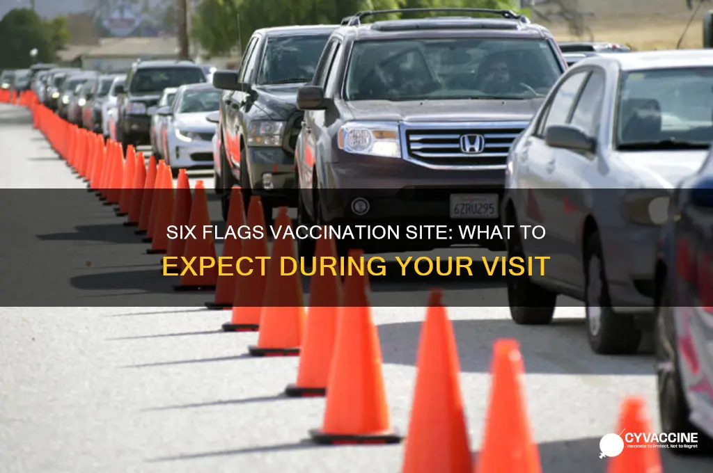 what to expect at six flags vaccination site