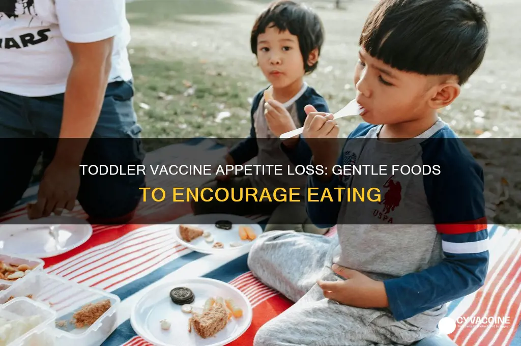 what to feed a toddler with loss appetite from vaccines