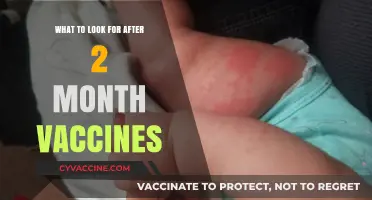 Post-2-Month Vaccines: Key Symptoms and Care Tips for Your Baby