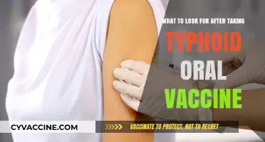 Post-Typhoid Oral Vaccine: Key Symptoms and Side Effects to Monitor