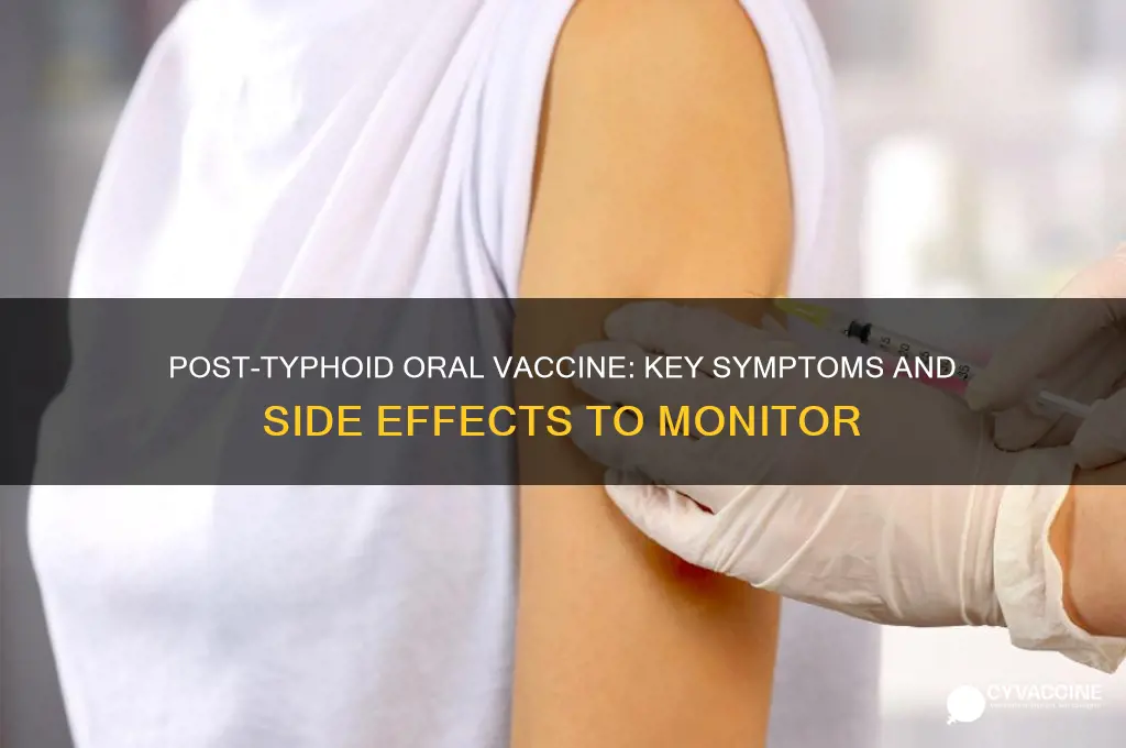what to look for after taking typhoid oral vaccine