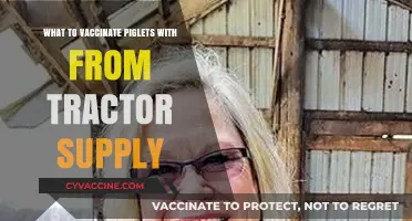 Essential Piglet Vaccines: Tractor Supply Guide for Healthy Herds